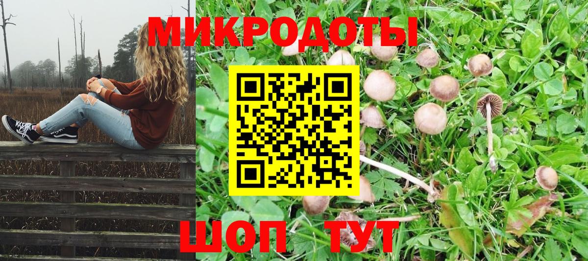 Ликино-Дулёво  купить наркоту  Вход с VPN  Псилоцибиновые грибы MAGIC MUSHROOMS  Галлюциногенные грибы Psilocybine cubensis 